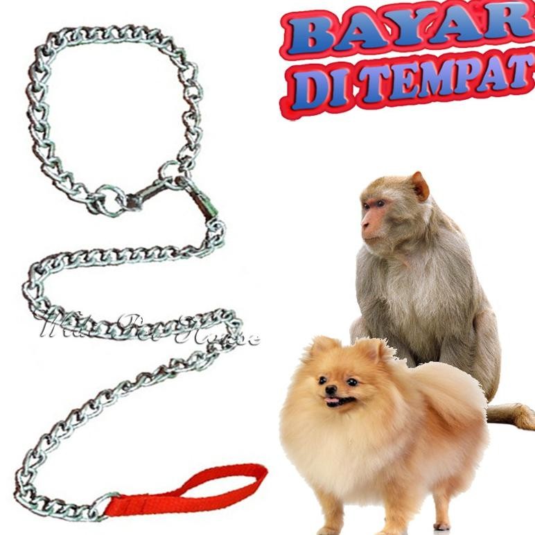 (Terbaru) RANTAI HEWAN ANJING MONYET MUSANG (Terlaris)