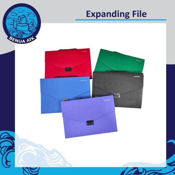 

Original Expanding File Map Plastik Dataflex Folio DF-231