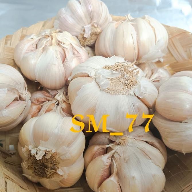 

Bawang Putih | Bawang Putih Bersih | Bawang Putih Sico 1kg