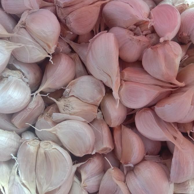 

Original Bawang Putih Kating Bersih Siap Masak & Wangi Bumbu Masak Harian