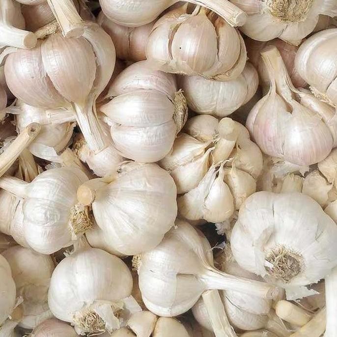 

Original Bawang Putih Kating 1Kg - Grade Premium Super Segar