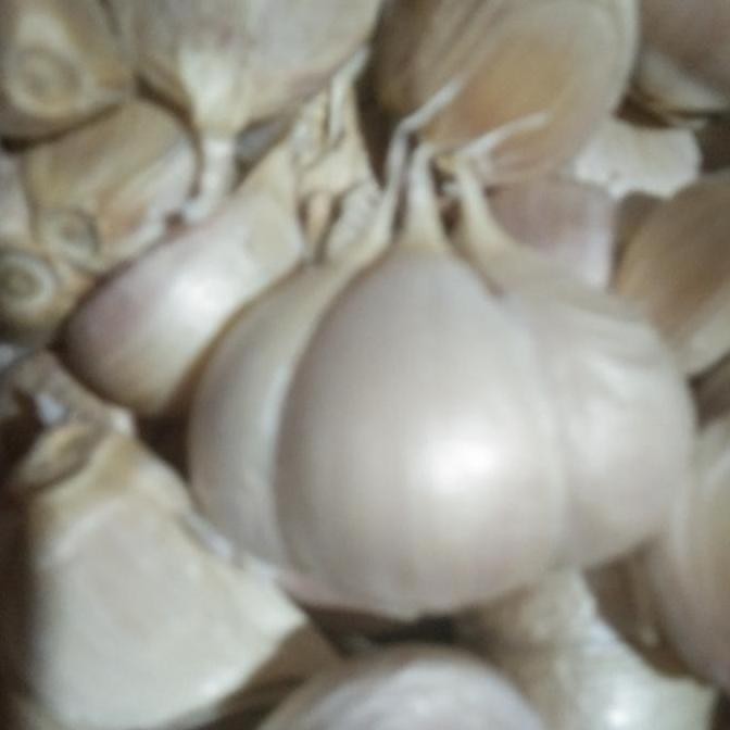 

Original Bawang Putih Kating Bersih 1Kg - Bawang Super Tanpa Kotoran