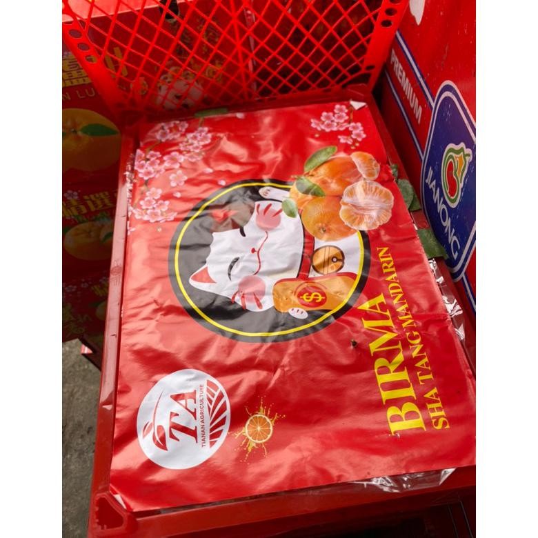 

Special - BUAH JERUK SANTANG MADU BIRMA MANIS FRESH 500GR