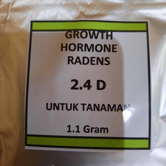 Ready 2.4 D ( 2,4 Diclorophenoxyacetic acid ) Two Four D Hormon ZPT Pupuk Ta