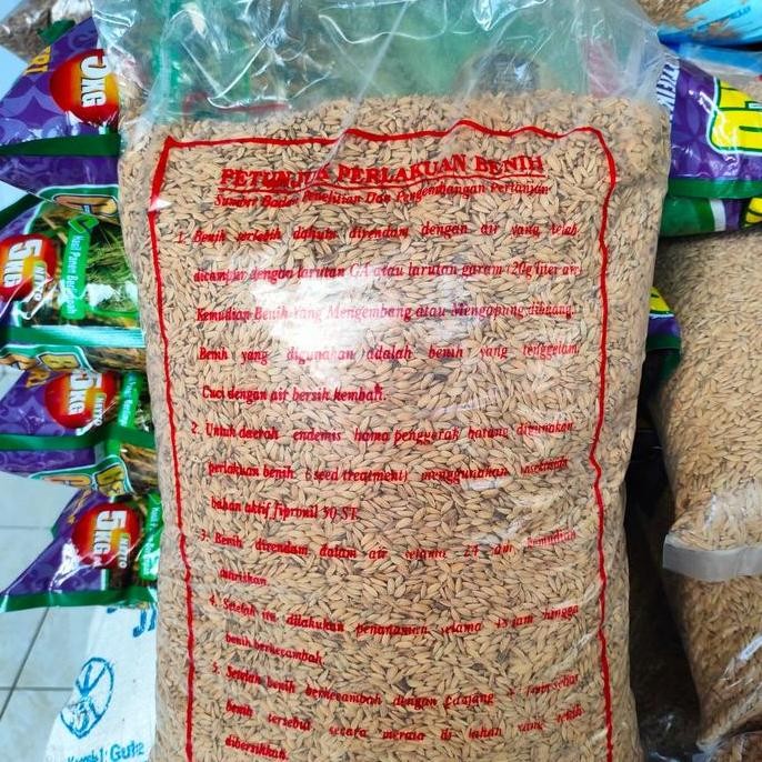 Ready Benih Padi Unggiul Cilamaya Muncul 5 kg Anakan Banyak