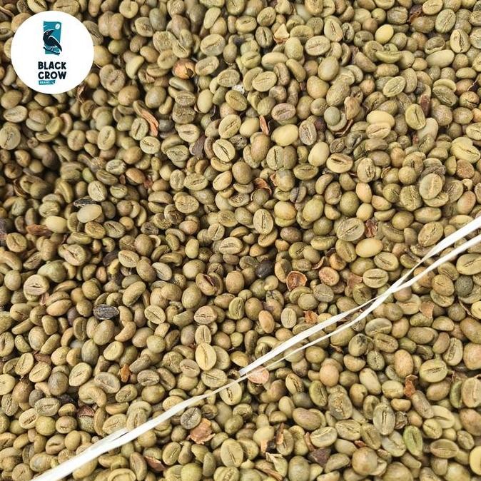 

Green Beans Robusta Asalan Jawa Barat Coffee Kopi Biji Kualitas Terbaik Harga Termurah