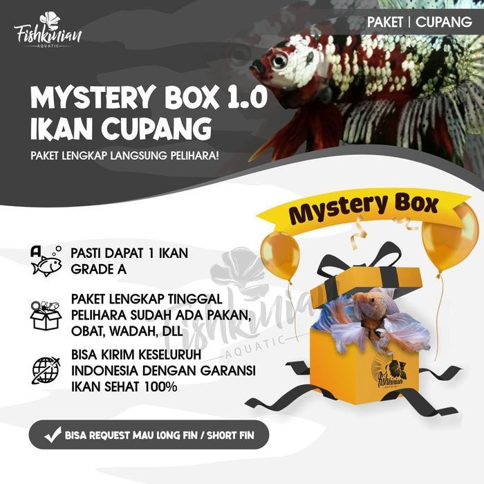 AL Mystery Box Ikan Cupang Fishkinian Official + Perlengkapan lengkap