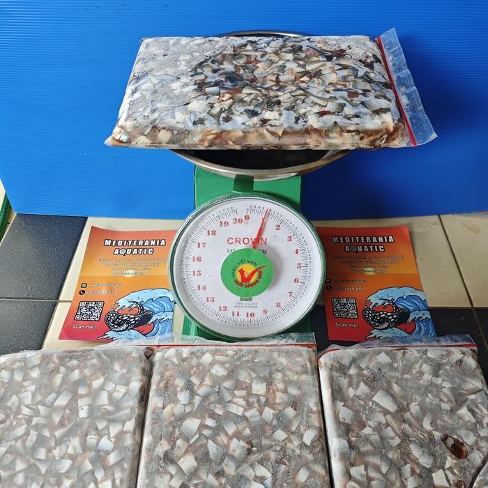 AL Pakan Ikan Predator Beku (Kemasan 500gram). Ikan laut Potong Beku, Ikan Selar Beku, Ikan Kembung 