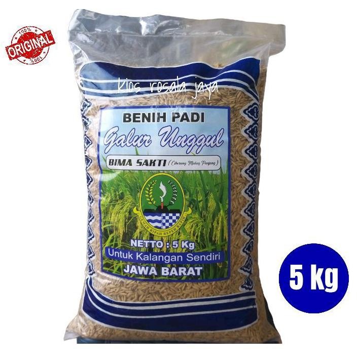 Benih Padi terbaru BIMA SAKTI 5 kg ORI Nugi