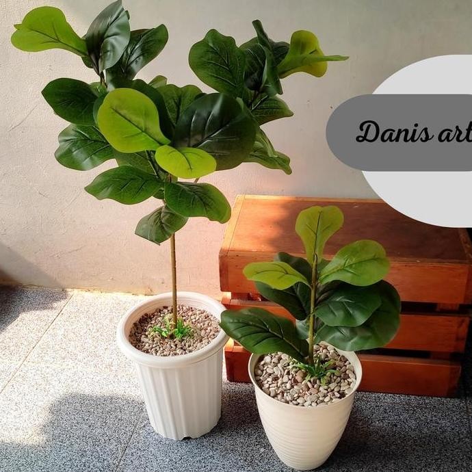 Pohon ketapang / ketapang plastik/ pohon