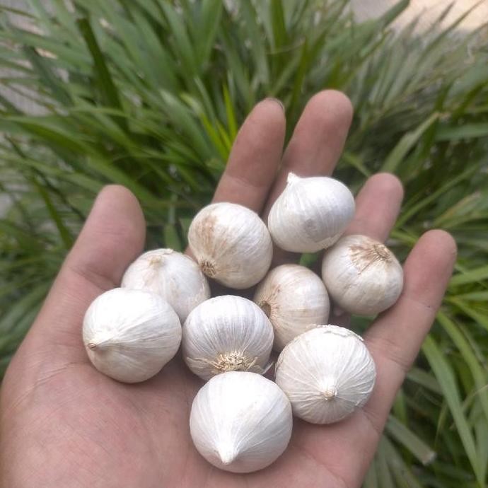 

Diskon! Bawang Goreng Murni 1 Kg - Tanpa Campuran Tepung, Siap Pakai