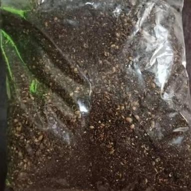 

READY ANDALIMAN BUBUK 1KG - MERICA BATAK KERING BUBUK ANDALIMAN ASLI