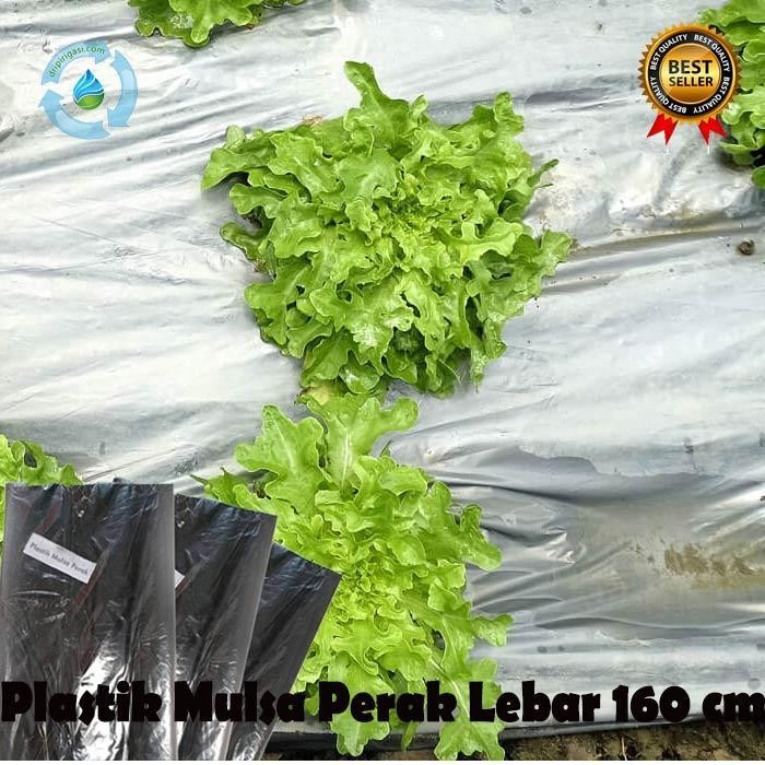 AS Plastik Mulsa Pertanian Warna Hitam Perak - 1 Meter - Lebar 160 cm