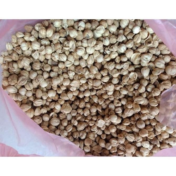 

Diskon! Kapulaga 500 Gram - Kapulaga Hijau India Fresh Green Cardamom