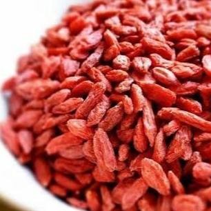 

Diskon! Goji Berry Kering 250Gr / Kici Premium / Buah Gojiberry Superfood