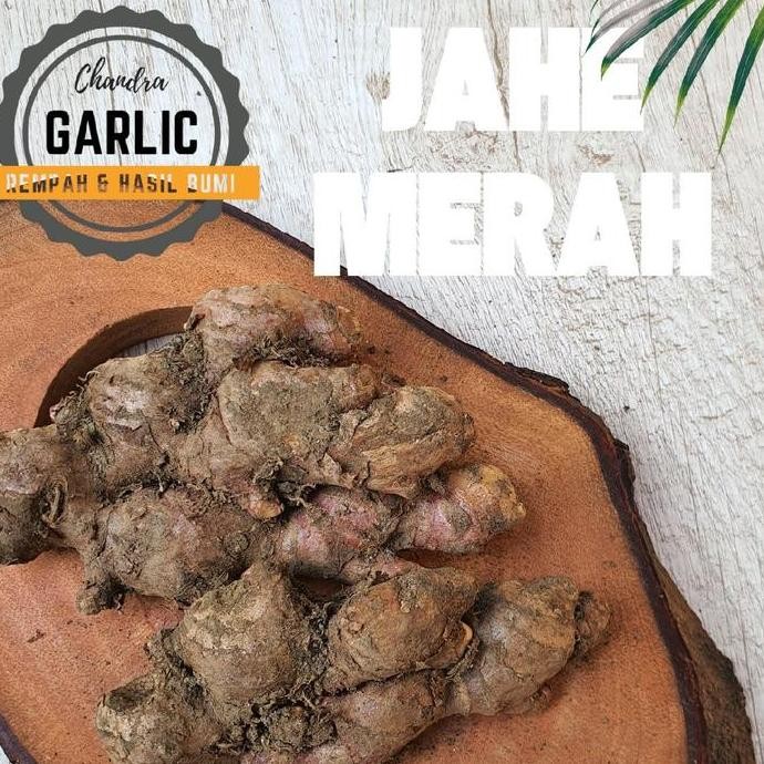 

Diskon! Jahe Merah Segar 1Kg Rempah Herbal Hangatkan Tubuh