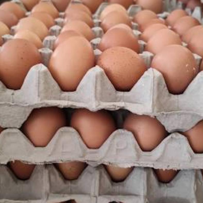 

Telur Ayam Negri 30 Butir aSt