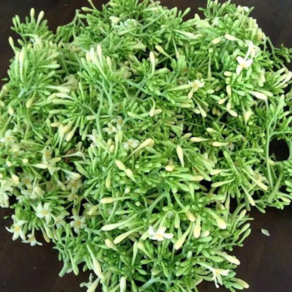 

Bunga Pepaya / 1 Kg aSt