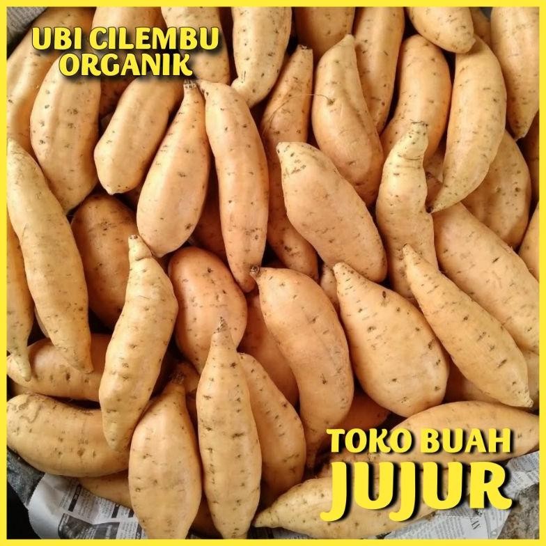 

UBI CILEMBU ORGANIK aSt