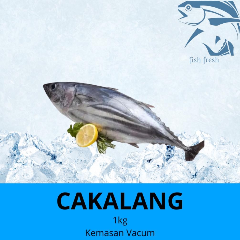 

IKAN CAKALANG FROZEN UTUH 1 KG SEGAR I KEMASAN VACUMM aSt