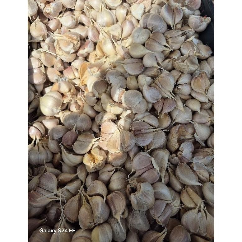 

Bawang Kating Bersih 1kg Import aSt