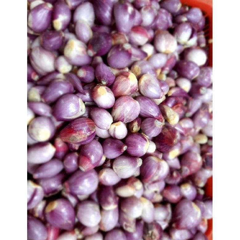 

Bawang Merah Kupas 500 gram aSt