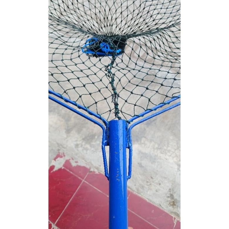 Viral Serok Ikan Brojol Benang Troll D12 Asli.Serok Ikan Besar.Serok Ikan Komsumsi.Serok Ikan Lele.S