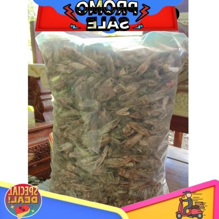 

Siap Dikirim Kepala Udang Vanami (Udang Tambak) Kering Kemasan 1 Kg Asli Murni