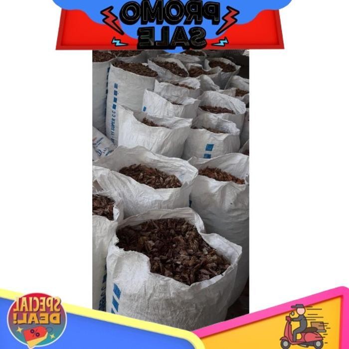 

Siap Dikirim Kepala Udang Vanami (Udang Tambak) Kering Kemasan 1 Kg Asli Murni