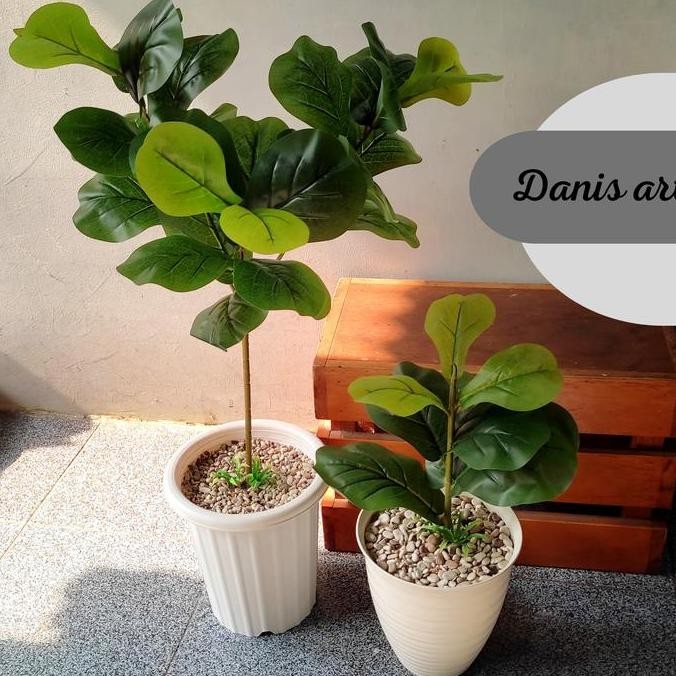 Pohon Ketapang Palsu/ Ketapang Plastik/ Pohon Palsu