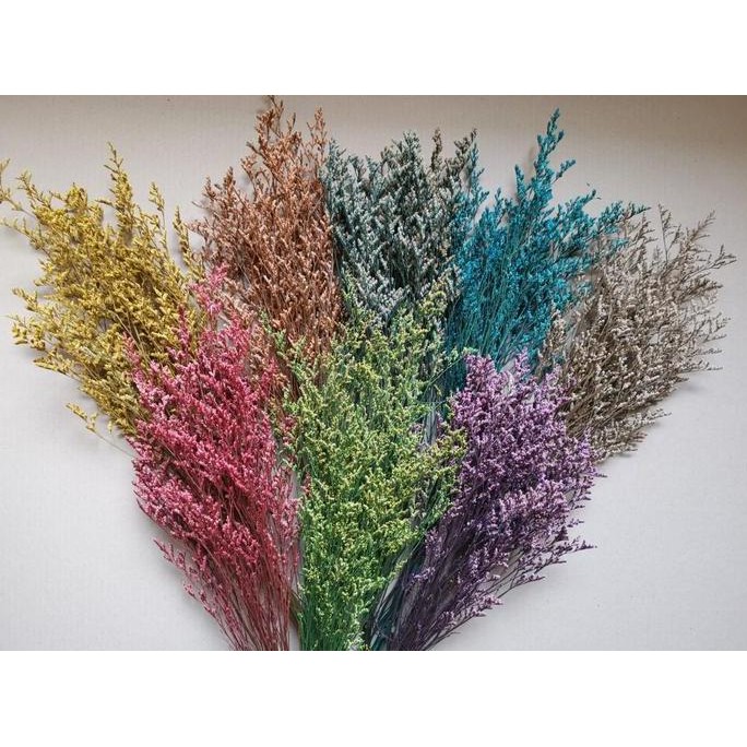 Preserved Caspea Flower Per Pack/ Bunga Caspea Impor Per Pack