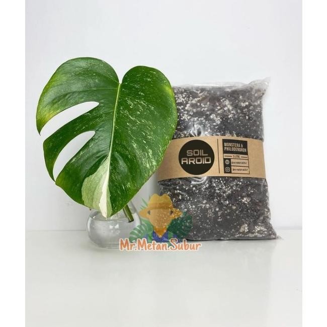 Poros Media Tanam 2 kg SOIL AROID PREMIUM UNTUK SEGALA TANAMAN Aroid Monstera philodendron varigata 