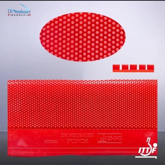 Karet Bat Tenis Meja Pingpong Dr. Neubauer Punch OX Bintik Panjang