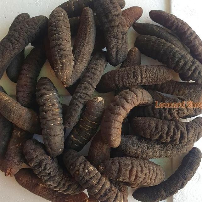 

Haisom Isi 78 Bangka Belitung Teripang Hoisom Gosok Kering