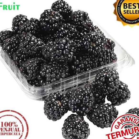 

Grosir 1Kg Buah Blaberry Frozen Mulberry Bla Berry Murbei