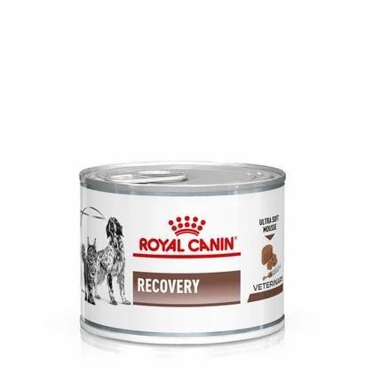 Royal Canin Recovery Makanan Anjing Kucing