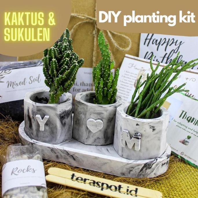 Ready Planting Kit Kaktus Sukulen DIY Menanam Hadiah Hampers Souvenir