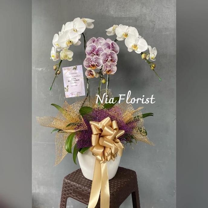 

Ready Hampers Imlek Bunga Anggrek - Parcel Chinese New Year Elegan