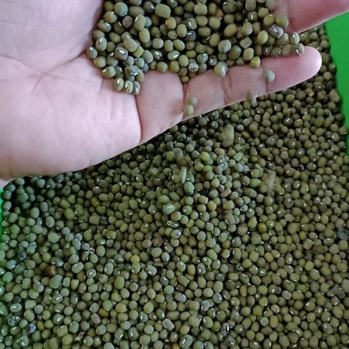 

(Allthebest) Biji Kacang Hijau 1 kg Ijo Baru Panen Organik Super Food Multivitamin