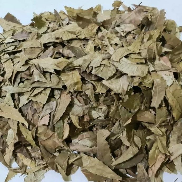 

Daun Mimba Kering 100gr - Daun Imba / Imbo / Mimbo