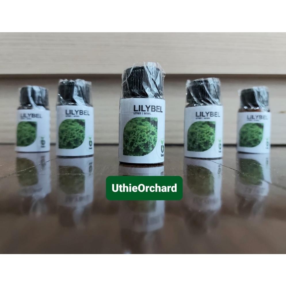 Benih Bejo Seed - Selada Batavia Lilybel Kemasan Repack 100 pills