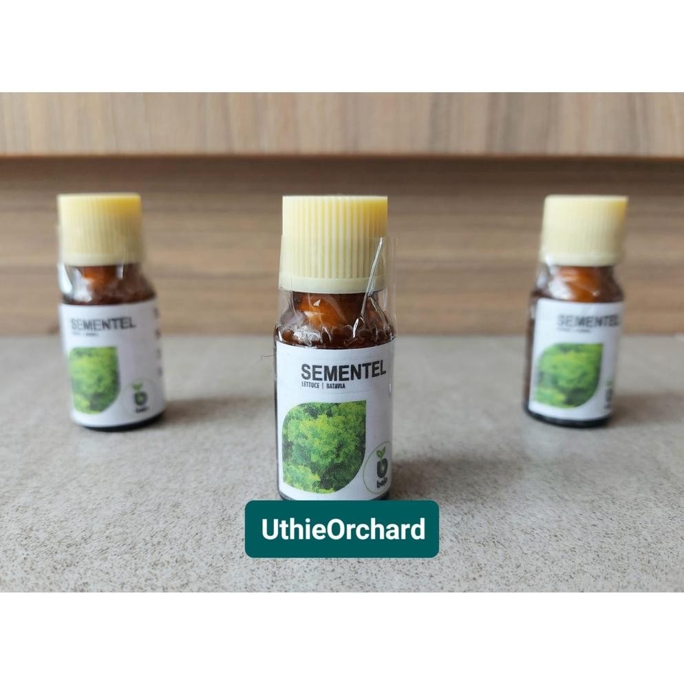 Benih Bejo Seed - Selada Batavia Sementel Kemasan 100 pills