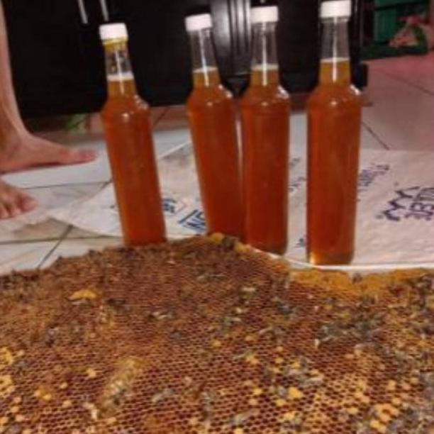 

(Terbaru) Madu Murni 100% MAdu Odeng Baduy (Terlaris)