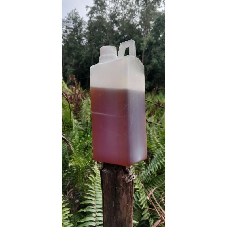 

(Terbaru) MADU HUTAN LIAR /MADU SIALANG KEMASAN 1 KG (Terlaris)