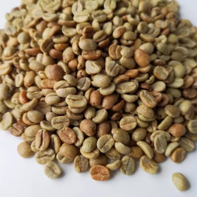 Panama El Burro Estate Catuai Natural Green Beans