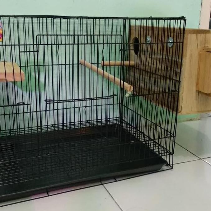 PROMO - KANDANG SANGKAR TERNAK BREEDING UNTUK LOVEBIRD PARKIT FULLSET MEDIUM