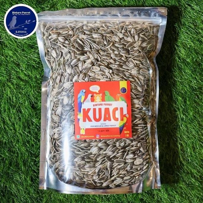 

PROMO DISKON - Kuaci Sangrai Jumbo XL