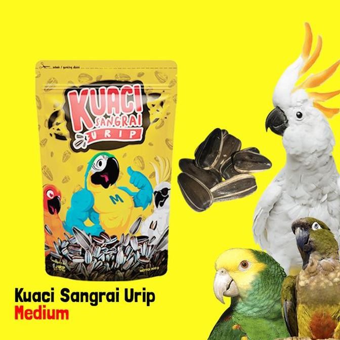 

NEW - KUACI SANGRAI MEDIUM UNTUK SUNCONURE AFGREY KAKATUA MACAW