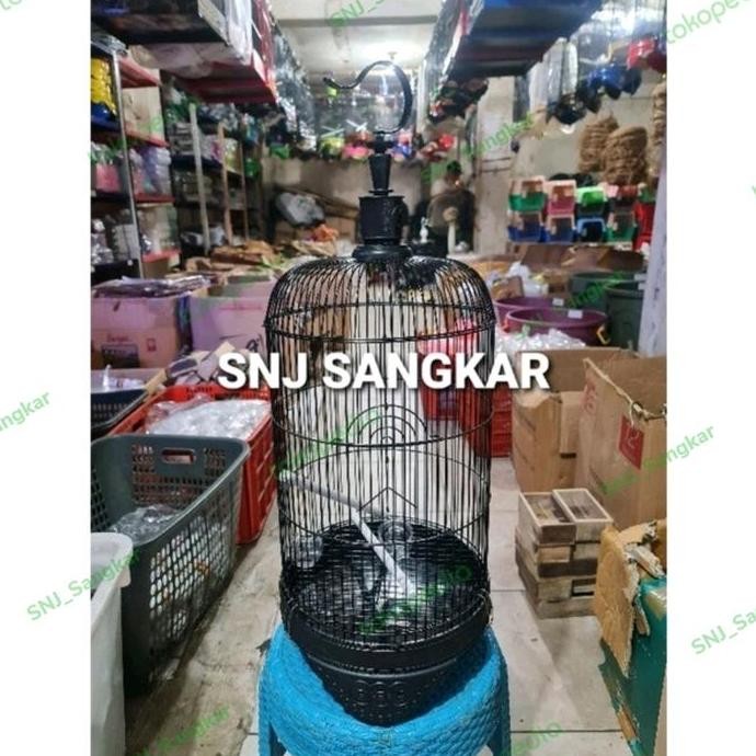 TERMURAH - sangkar pleci besi import Kandang Pleci Kolibri Burcil Kecil