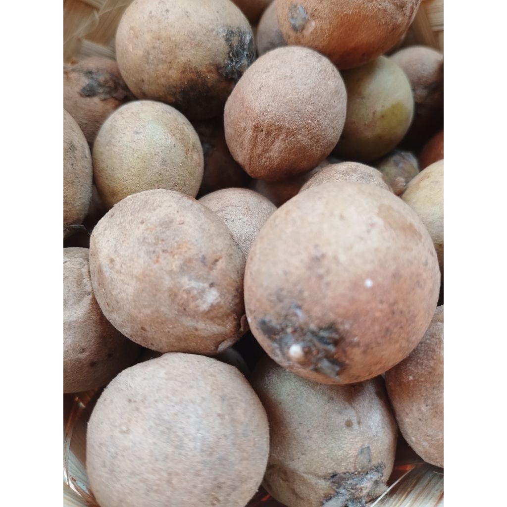 

Sawo Viral Kecil Manis Enak 2 kg